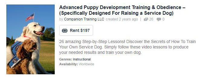 Video Course - Advanced Puppy Development Training and Obedience