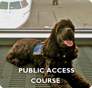 public access training